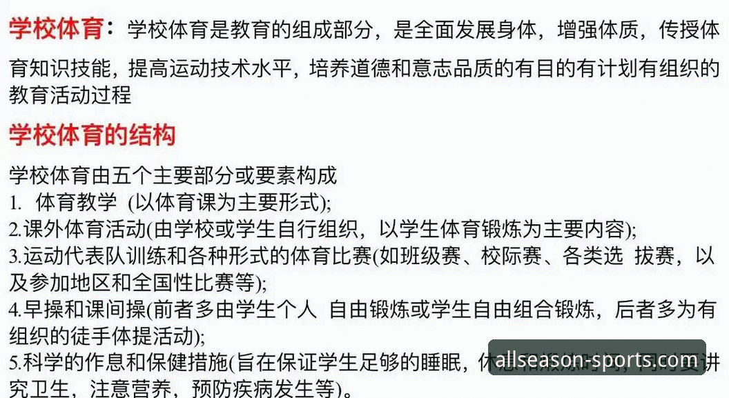四季体育安卓最新版全面解析：从下载到使用的完整操作指南